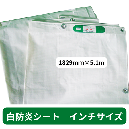防炎シート　インチ　白　ホワイト